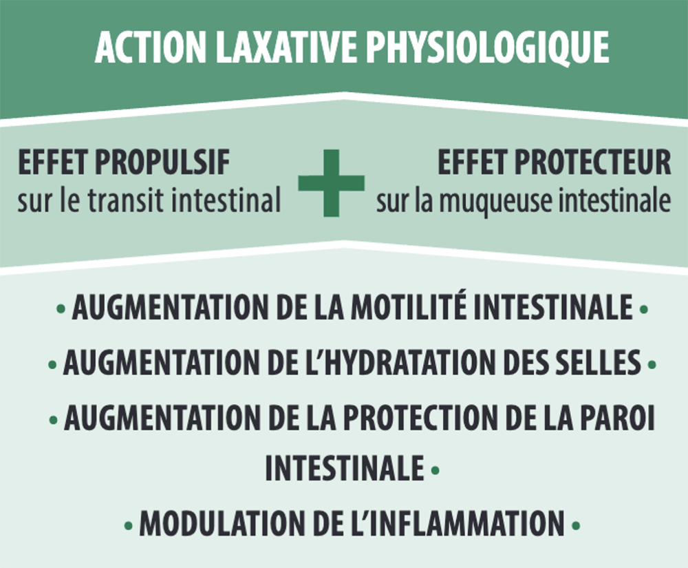 ACTION LAXATIVE PHYSIOLOGIQUE • AUGMENTATION DE LA MOTILITÉ INTESTINALE • AUGMENTATION DE L’HYDRATATION DES SELLES • AUGMENTATION DE LA PROTECTION DE LA PAROI INTESTINALE • MODULATION DE L’INFLAMMATION